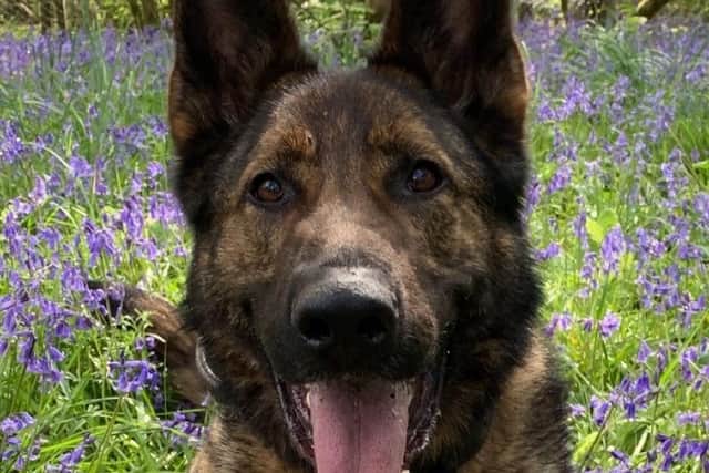 PD Kato helped detain three men who fled the scene of a hit and run on the M55 this morning (August 19). Pic: Lancashire Police