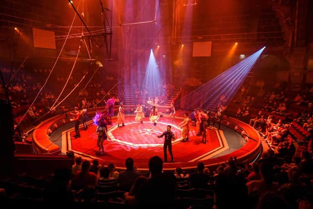 Tower Circus is now open to socially distanced audiences.