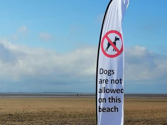 The ban on dogs applies to a stretch of beach between the pier and the RNLI station from Good Friday to September 30