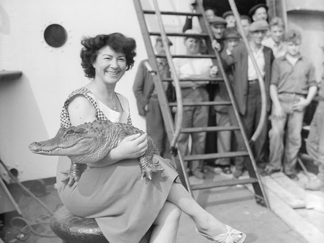 Performer Koringa with one of the alligators in 1955. Picture: Getty Images