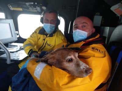 RNLI volunteers with the dog they rescued