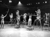 There were concerns about the welfare of lions at the circus, in 1984
