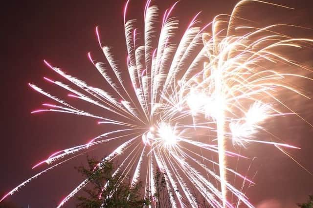 A councillor wants to ban noisy fireworks