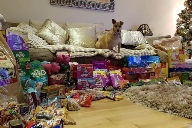 Donations from 2019 Santa Paws appeal with rescue dog Quilly