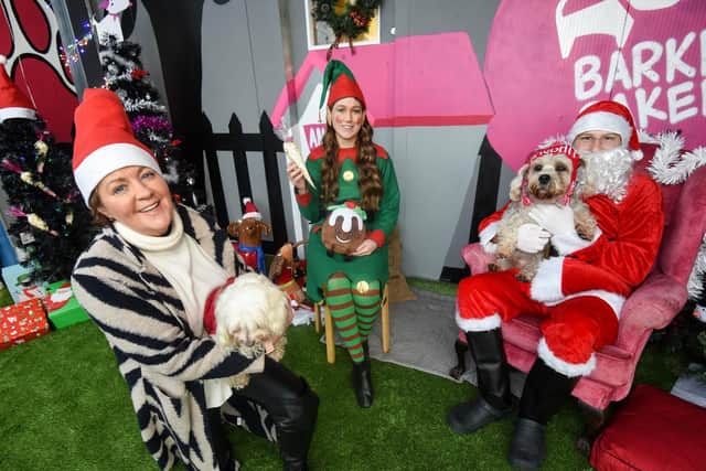 The Barking Bakery is having a Santa's Grotto for dogs and their owners to raise money for charity.  Pictured is Michelle Turnbull with dog George, elf Saffron Taylor and Jacob Firth as Santa Paws with dog Angus.