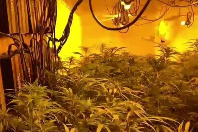 A large scale cannabis farm spanning four floors of the building was discovered by police. (Credit: Lancashire Police)