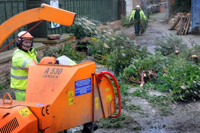 Christmas trees can be easily recycled into chippings for parks and gardens