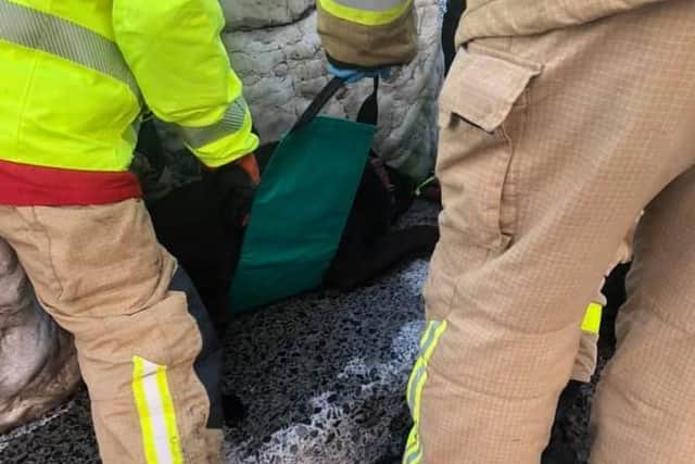 Firefighters managed to pull Bruno to safety after he got caught under a rock on Clevleeys promenade on New Year's Eve.