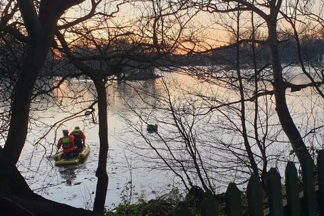 Fire crews rescue swan trapped on frozen Stanley Park boating lake