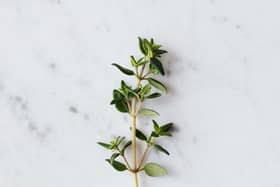 Thyme
