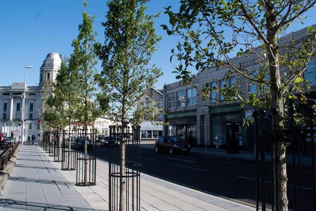 More trees could be planted