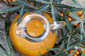 Sea Buckthorn