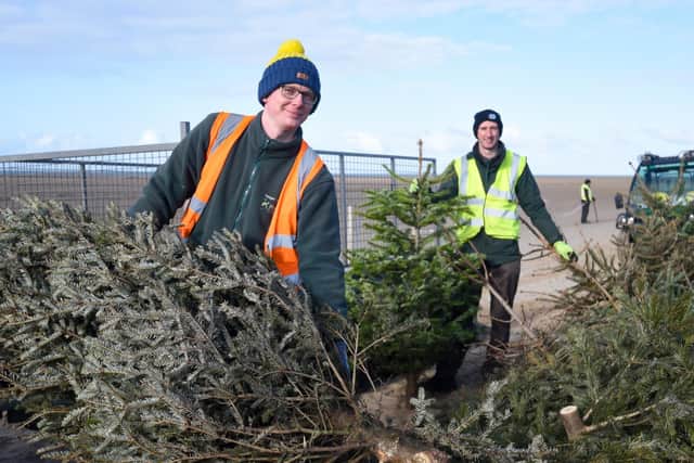 Andy Mills and Fraser Monteath were among the council staff planting the trees