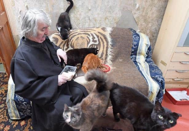 Fr Anthony Gillick with some of the cats at Rainbow Bridge