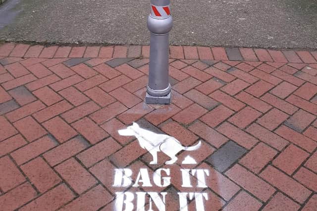 Signs have been sprayed onto pavements in popular dog walking spots across Wyre in a bid to reduce dog fouling. Photo: Wyre Council