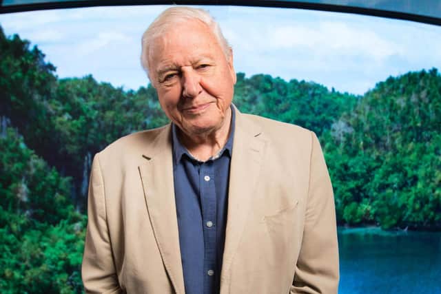 Sir David Attenborough warned UN chiefs this week that humanity must unite in the battle against climate change, "for it affects us all." Photo: PA