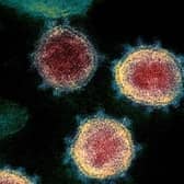 Hunt underway for mystery person with concerning Brazilian variant of coronavirus