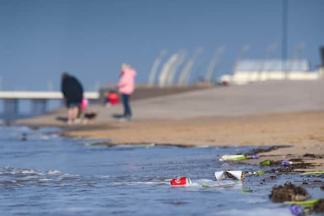 The proliferation of plastic, increased rainfall and rising sea levels are putting our beaches at risk, an environment group has warned. Photo: Daniel Martino/JPI Media