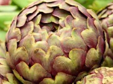 Artichoke