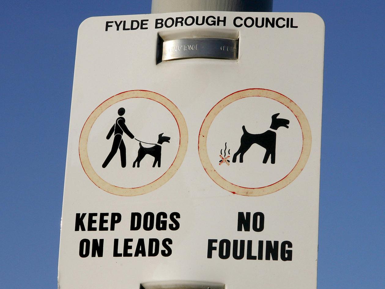 Funny dog fouling sales signs