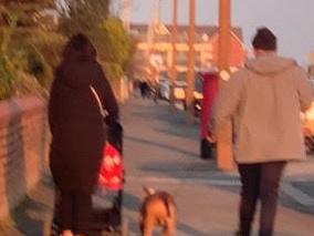 RSPCA inspectors want to speak to the couple pictured