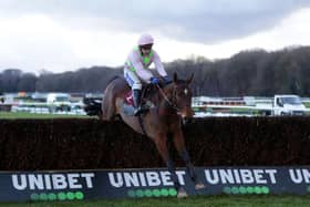 Royale Pagaille ridden by Tom Scudamore on their way to winning the Peter Marsh Handicap Chase at Haydock Park