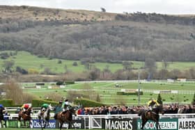 The Cheltenham Festival, the pinnacle of National Hunt racing, takes place from March 16 to 19.