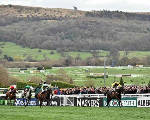 The WellChild Cheltenham Gold Cup takes centre-stage on Friday