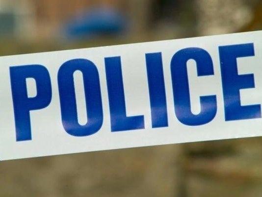 Police seize 83 dogs from traveller site - could any be from Lancashire?