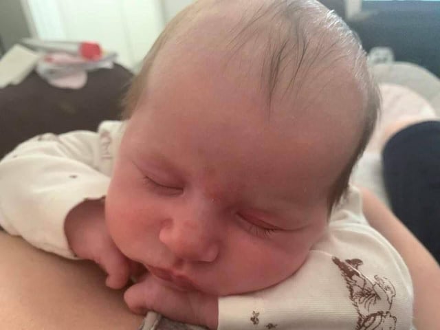 Willow Lee