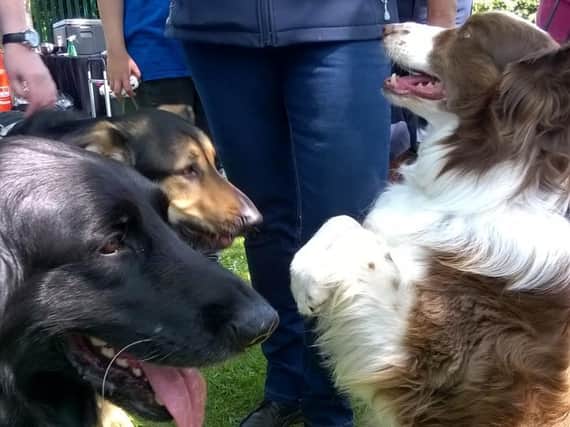 The Fylde Coast Guide Dogs meeting BGT winner Matisse in Poulton