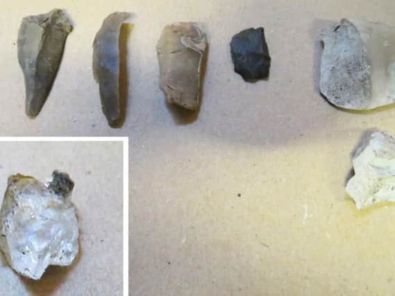 The team also found stone tools likely used by hunter gatherers more than 5,000 years ago