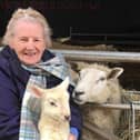 The late Margaret Parr with Stormzi, a lamb born at Farmer Parr's Animal World, and sheep Baa-Linda