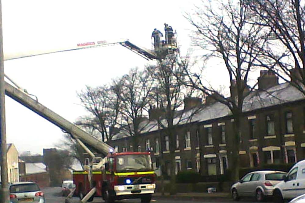 Firefighters rescuing a cat from a tree
