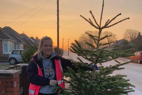 Trinity volunteer tree collector Emma Lonican