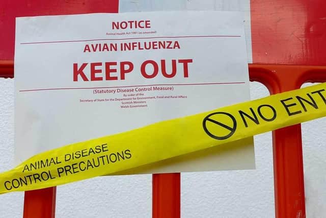 There are currently 64 cases of avian influenza H5N1 in England, with disease control zones in force around Poulton-le-Fylde and Clitheroe