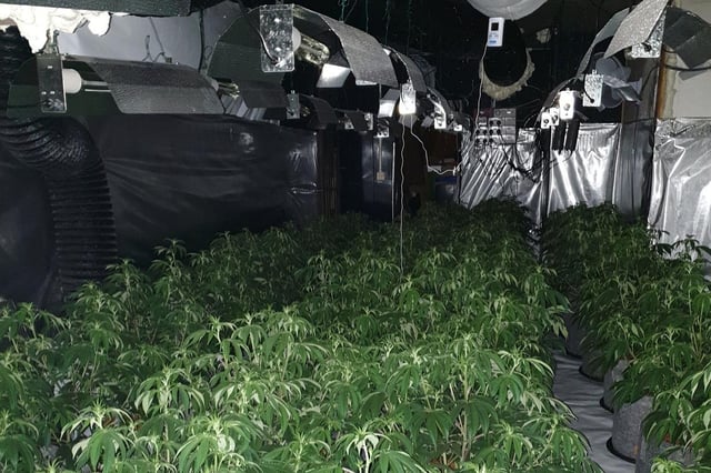 The cannabis factory was found inside an address in Lonsdale Road (Credit: Lancashire Police)