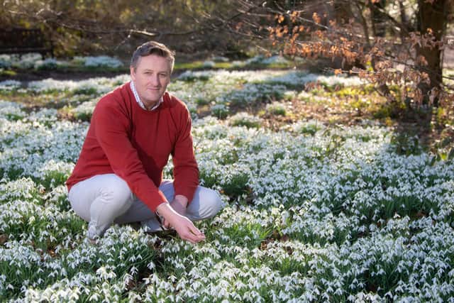 Lytham Hall general manager Peter Anthony among the snowdrops in the grounds