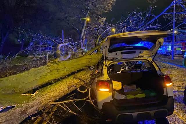 Two people and a dog were rescued after a tree fell on their car in East Park Drive, Blackpool (Credit: @LancashireFRS)