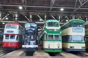 Some of the vintage trams on display