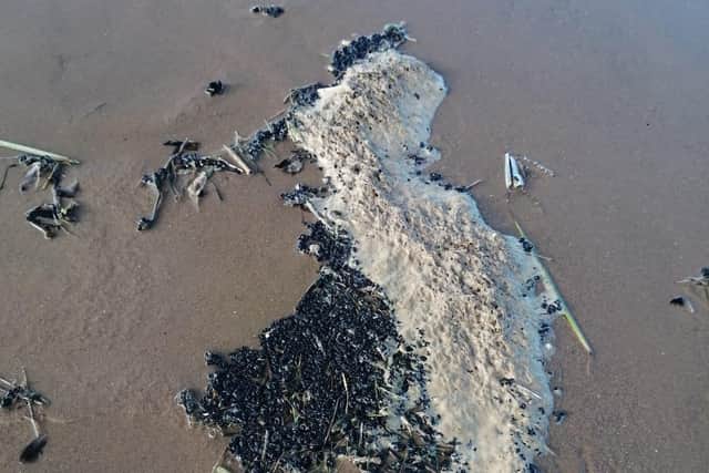 Around 16,000 gallons of oil leaked from a pipeline that supplies fuel to the Isle of Man from Conwy in North Wales  last week, with deposits reaching St Annes