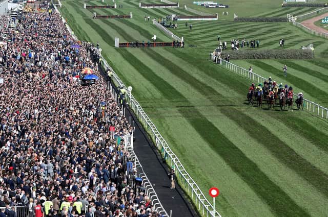 The Grand National Festival takes place at Aintree this week
