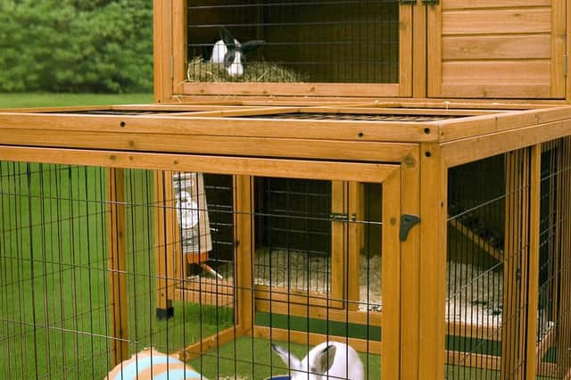 Large hutch with run is ideal for rabbits (photo: Quench Studios)