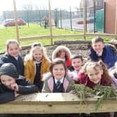 Pupils learn about nature at Westminster Academy