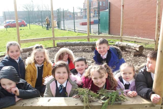 Pupils learn about nature at Westminster Academy