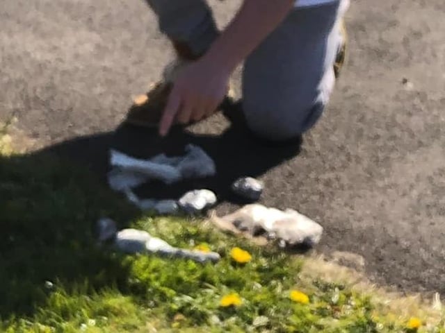 The handgun - reportedly a revolver - was found next to a footpath near Tarragon Drive on the Carleton Lodge Farm estate, off Moor Park Avenue, at around 5pm on Thursday (April 15)