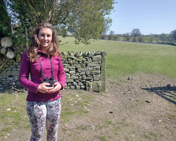 Jayne Ashe, Curlew Ambassador