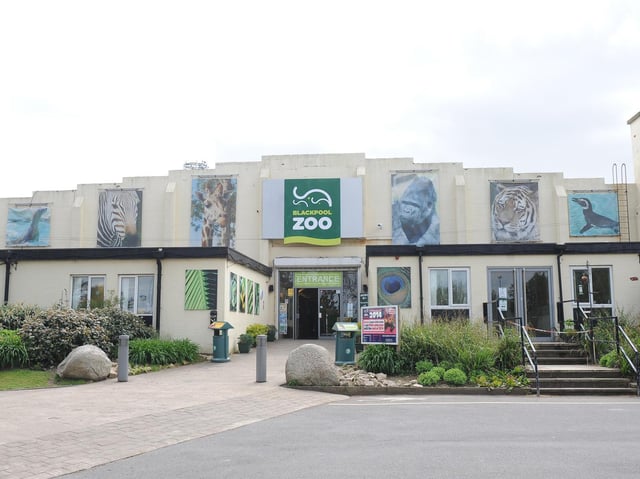 Blackpool Zoo is a family friendly attraction, providing fun and education for all ages.