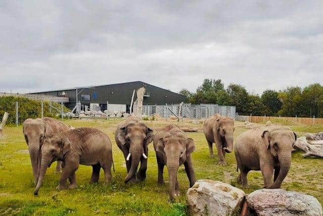 Blackpool Zoo has over 1,500 rare and exotic animals including seals, lions, giraffes, elephants and gorillas.