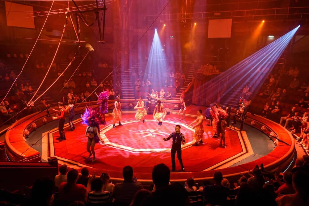 Tower Circus is reopening later this month